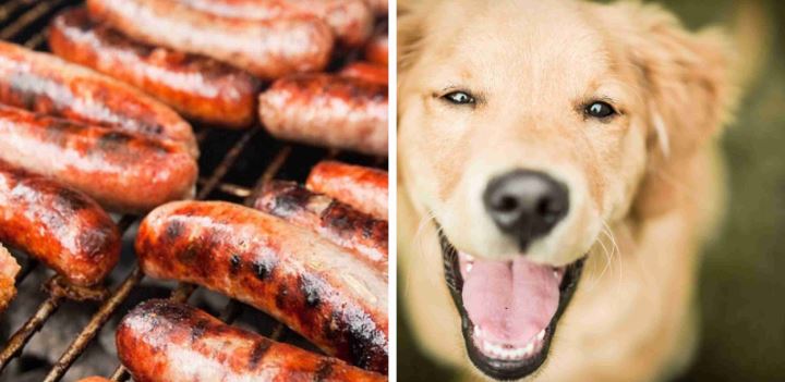 feed dog sausage>
													</header>
													<p>Is it safe for our dogs to eat sausage? This post goes over all aspects of your dog and sausages.</p>
												</article>
												
												<article class=